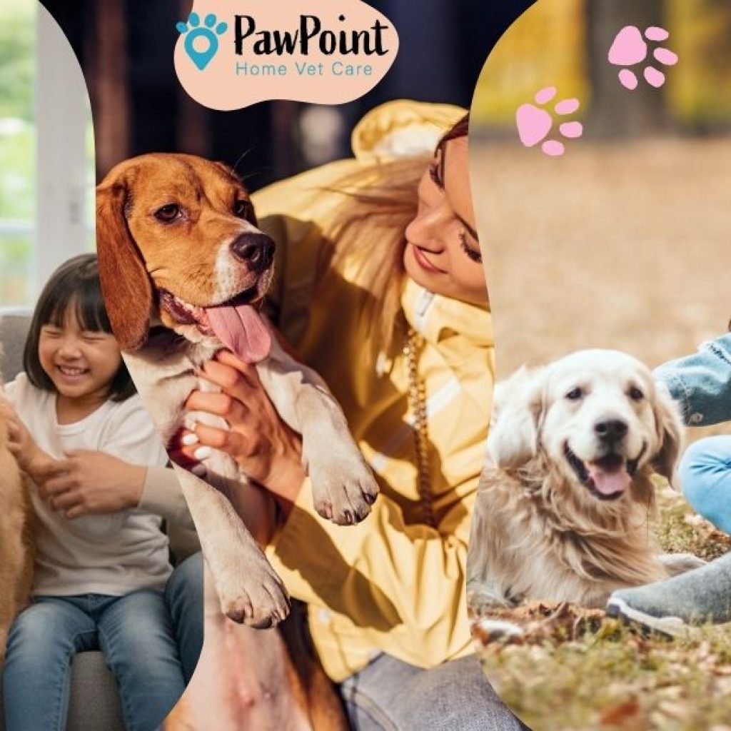 Gentle, at‑home end-of-life care for your pet in Calgary Gentle, at‑home end-of-life care for your pet in Calgary