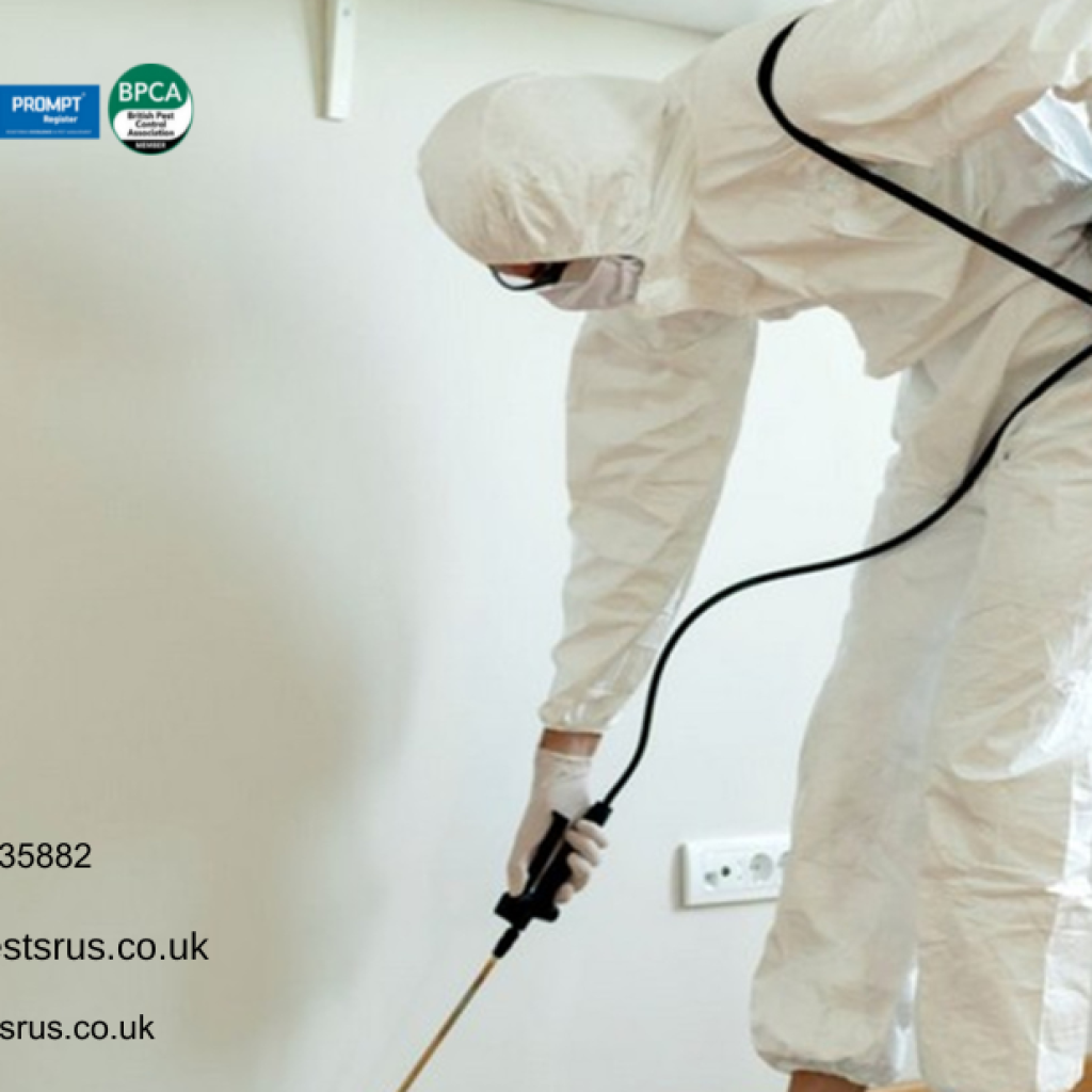 Eliminate Infestations Quickly With Bedbug Pest Control London Experts