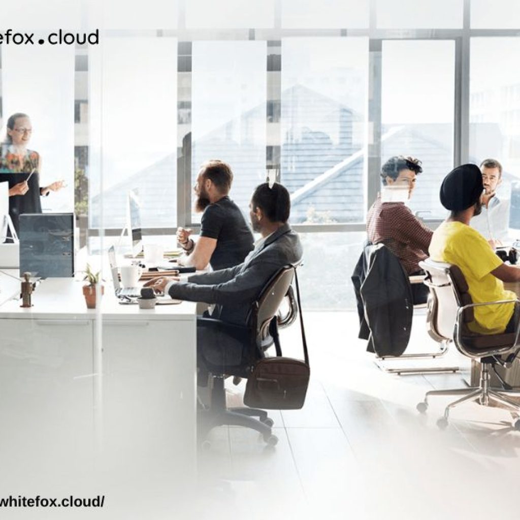 Optimise Your Logistics with Custom Software Solutions