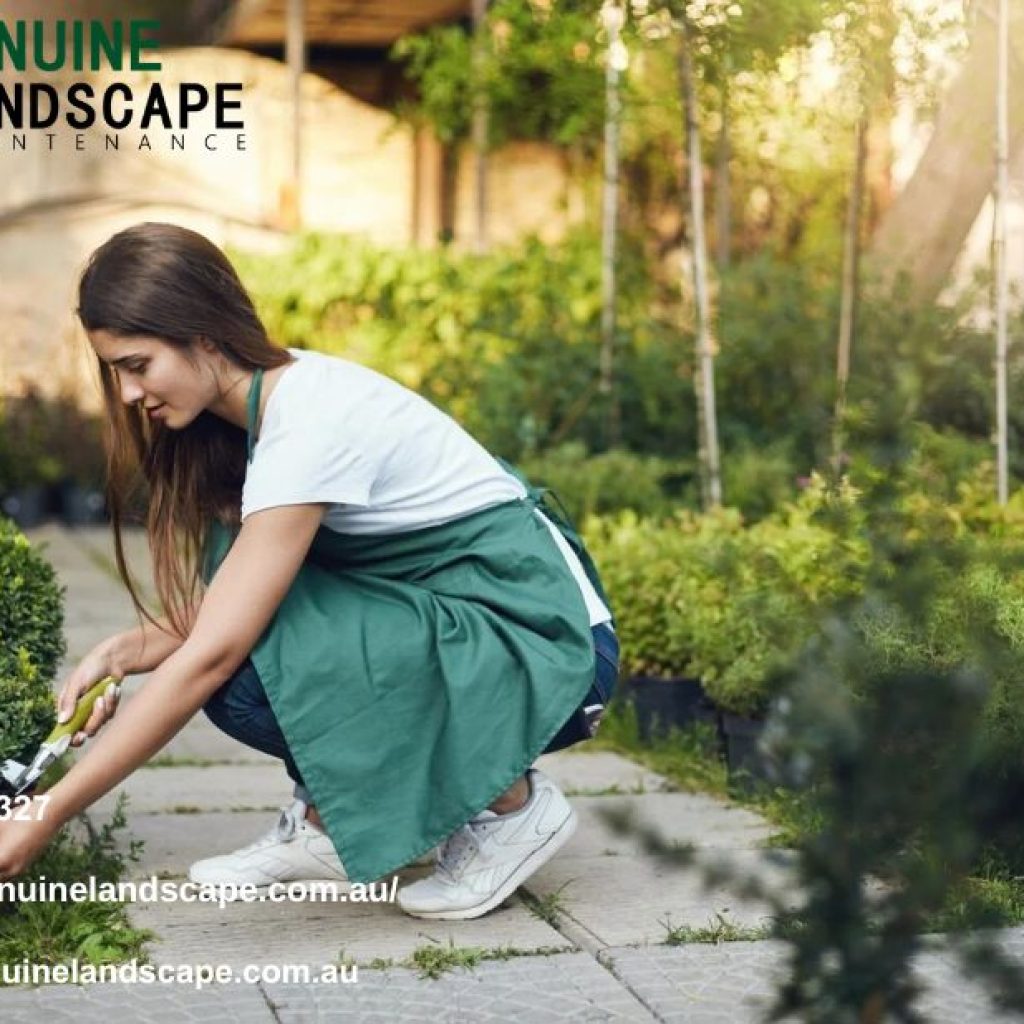 Professional Lawn Mowing Expert for Perfect Lawns Professional Lawn Mowing Expert for Perfect Lawns