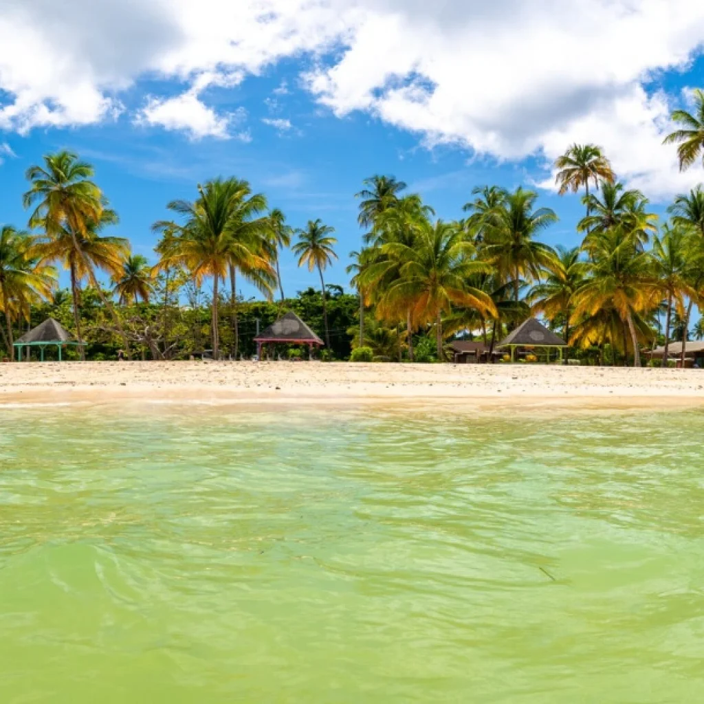 Explore Hawaii with Flexible Monthly Car Rentals Explore Hawaii with Flexible Monthly Car Rentals