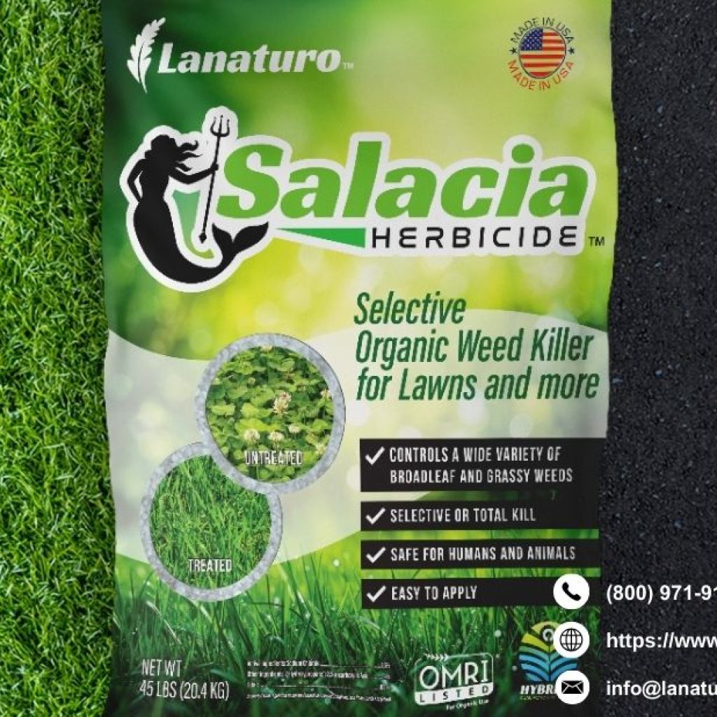 Choosing a weed killer safe for lawns: practical tips