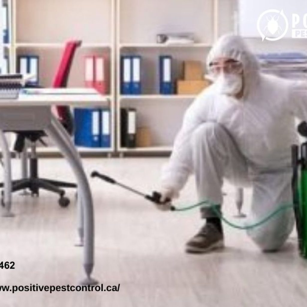 Calgary Mosquito Control | Positivepestcontrol.ca