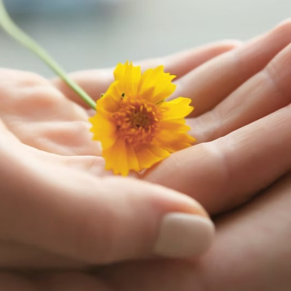 Understanding Psychological Assessments in Ontario for Better Care Understanding Psychological Assessments in Ontario for Better Care