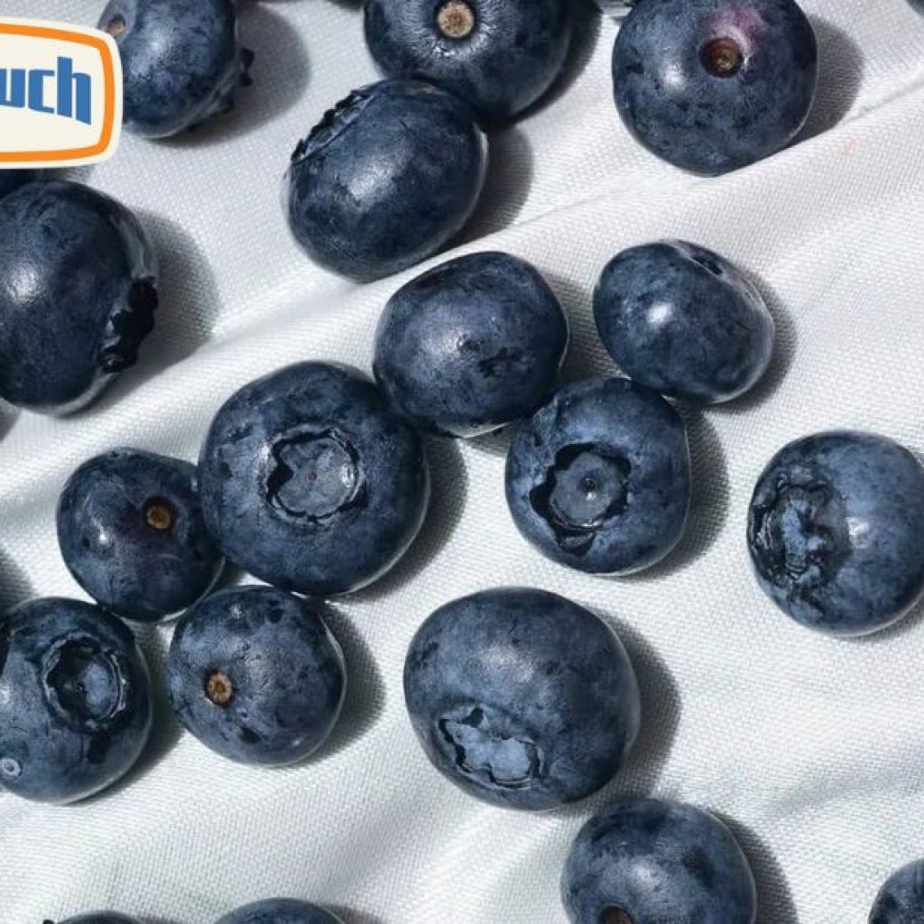 Discover the Smooth Satisfaction of Nicotine Pouches Discover the Smooth Satisfaction of Nicotine Pouches