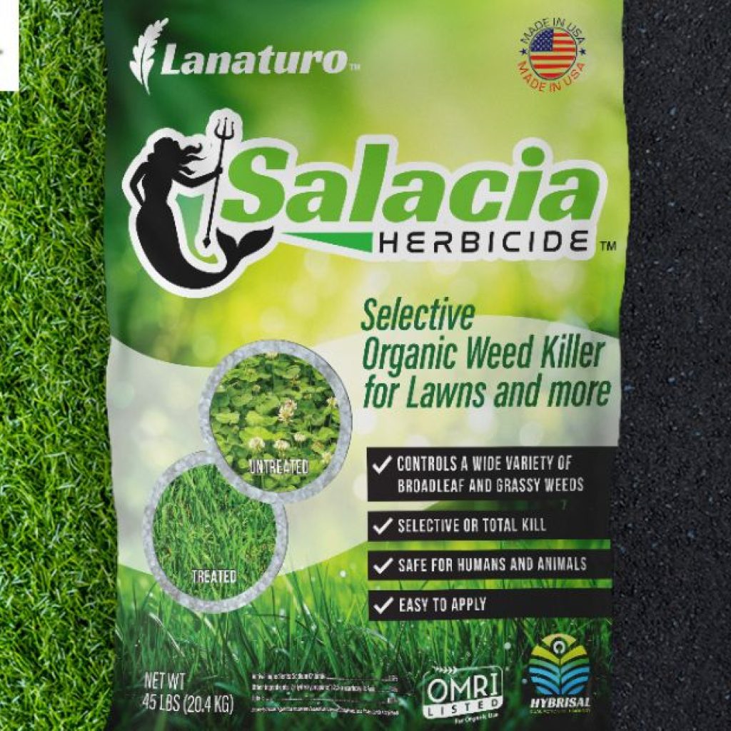 Safe, Effective Weed Control for Homes with Kids and Pets