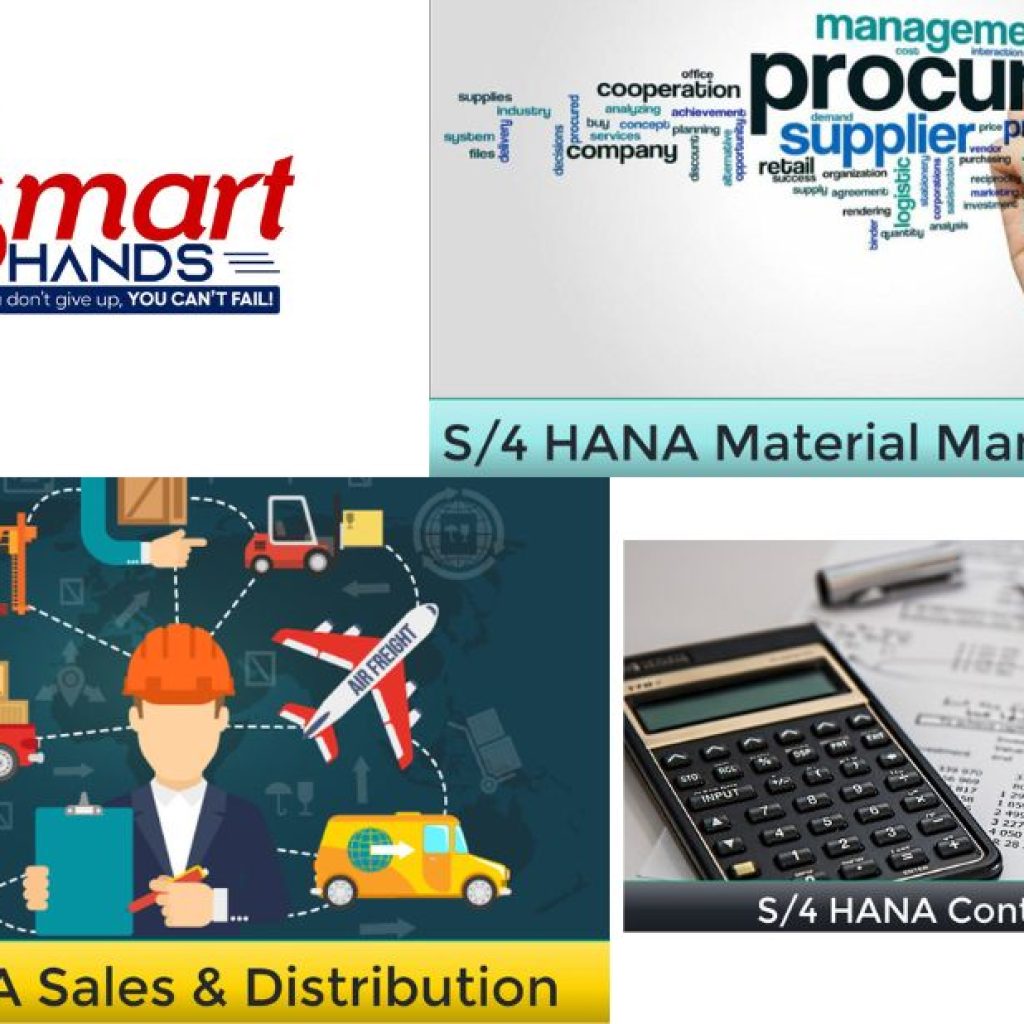 Master SAP SD: Boost Sales, Billing, and CRM Skills