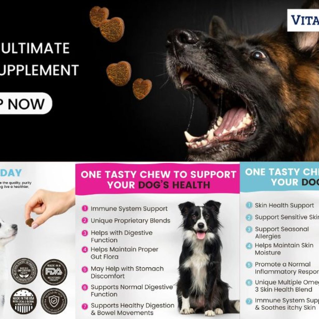 Keep Your Canine Moving: Premium Supplements for Joint Comfort