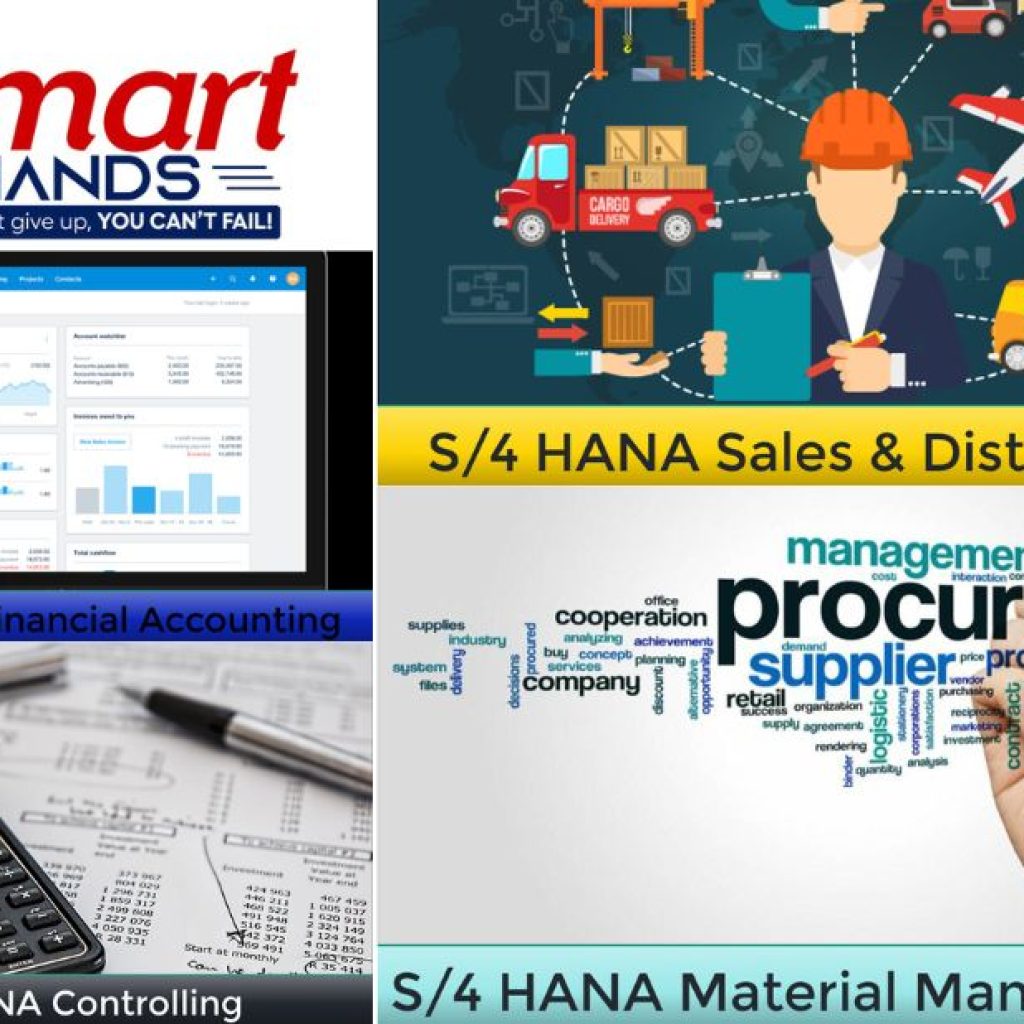 Sap Sd Training | Thesmarthands.com Sap Sd Training | Thesmarthands.com