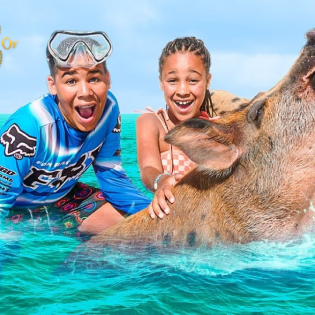Nassau Snorkel & Pig Encounter: A Memorable Island Adventure Nassau Snorkel & Pig Encounter: A Memorable Island Adventure