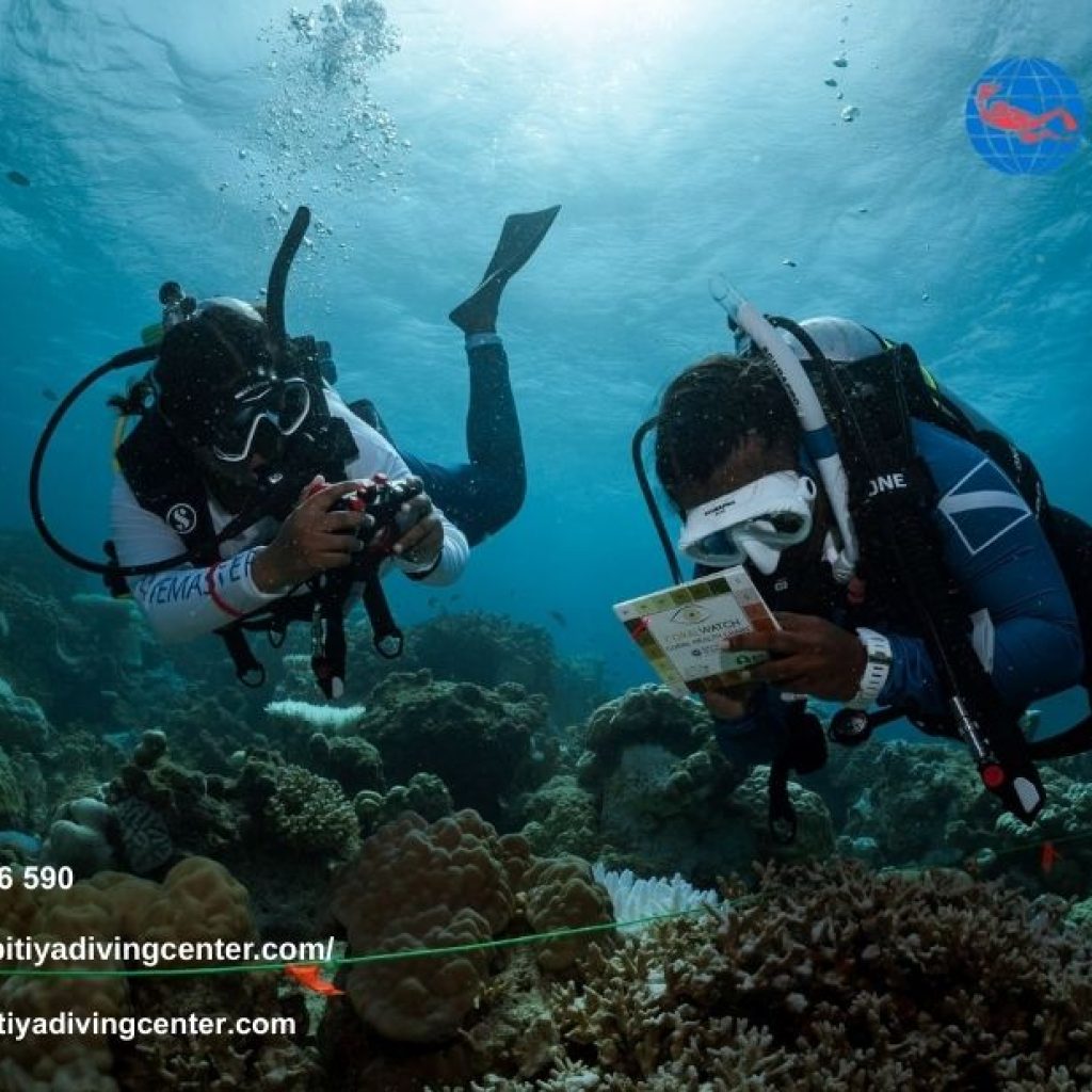 Best Diving Instructor Srilanka | Kalpitiyadivingcenter.com Best Diving Instructor Srilanka | Kalpitiyadivingcenter.com