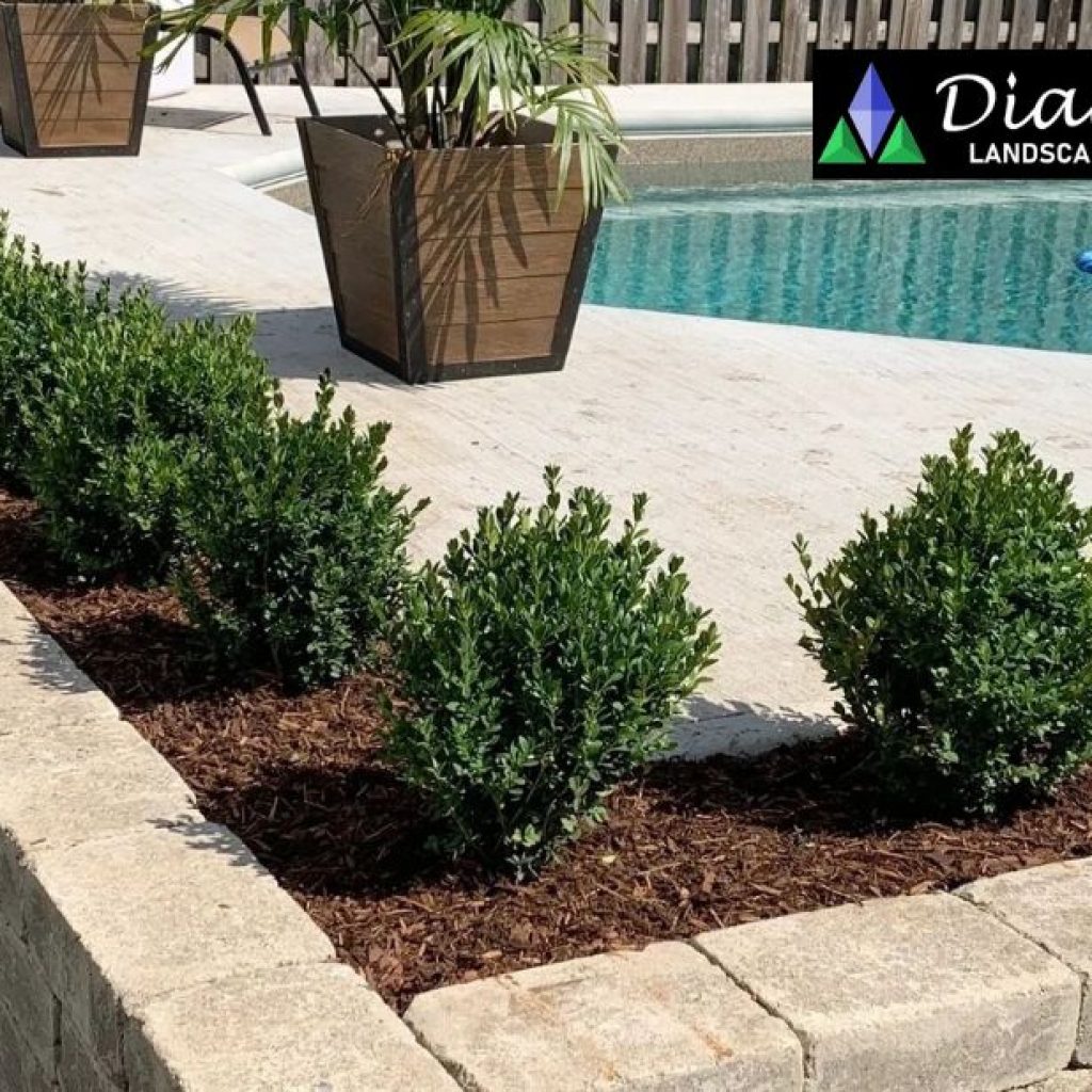 Premium Fencing Solutions for Cambridge Homes | Expert Installations