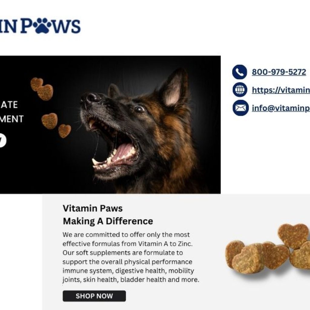 Gut Health For Dogs | Vitaminpaws.com