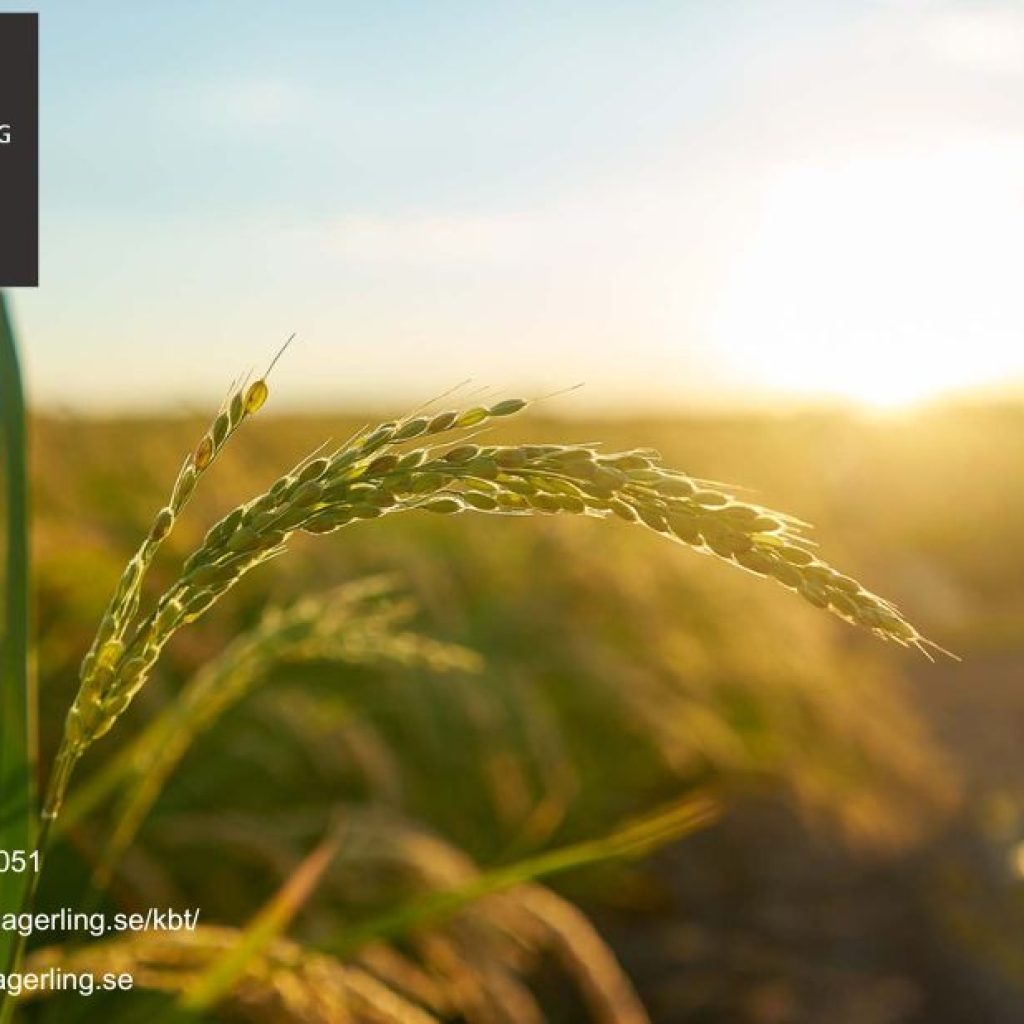 Professionell psykodynamisk terapi i Östermalm – stöd och förändring