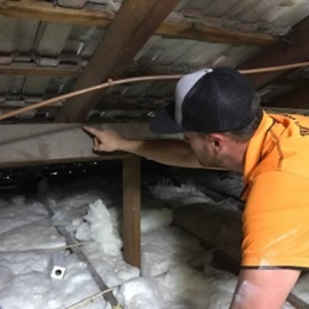 Protect Your Home with Advanced Termite Barriers on the Gold Coast Protect Your Home with Advanced Termite Barriers on the Gold Coast