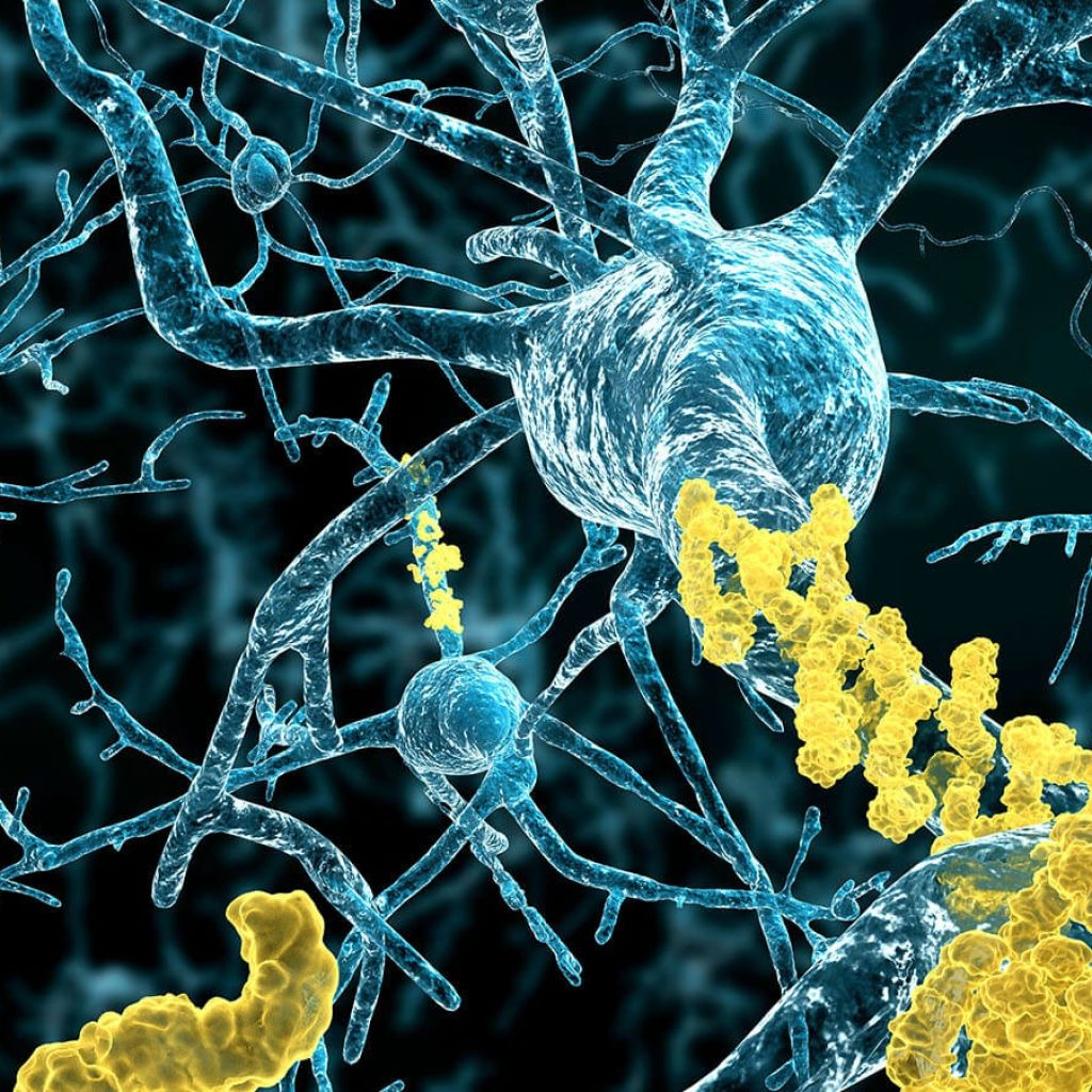 Premium Peptide Supplies for Scaled Research Premium Peptide Supplies for Scaled Research