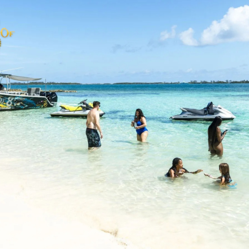 Swim with Piglets on a Sunset Island Adventure