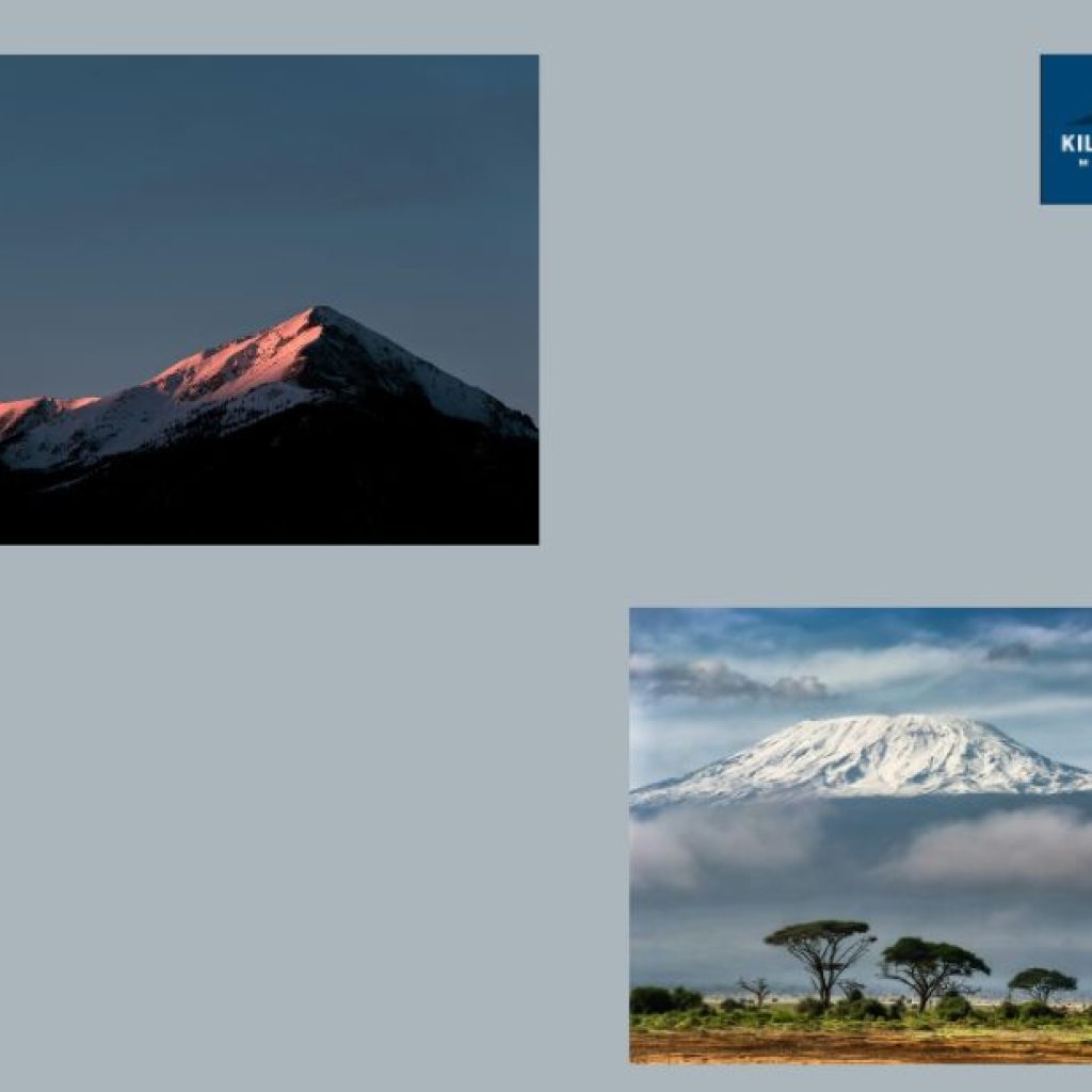 Navigating the Shira Route: Essential Tips for Climbers Navigating the Shira Route: Essential Tips for Climbers