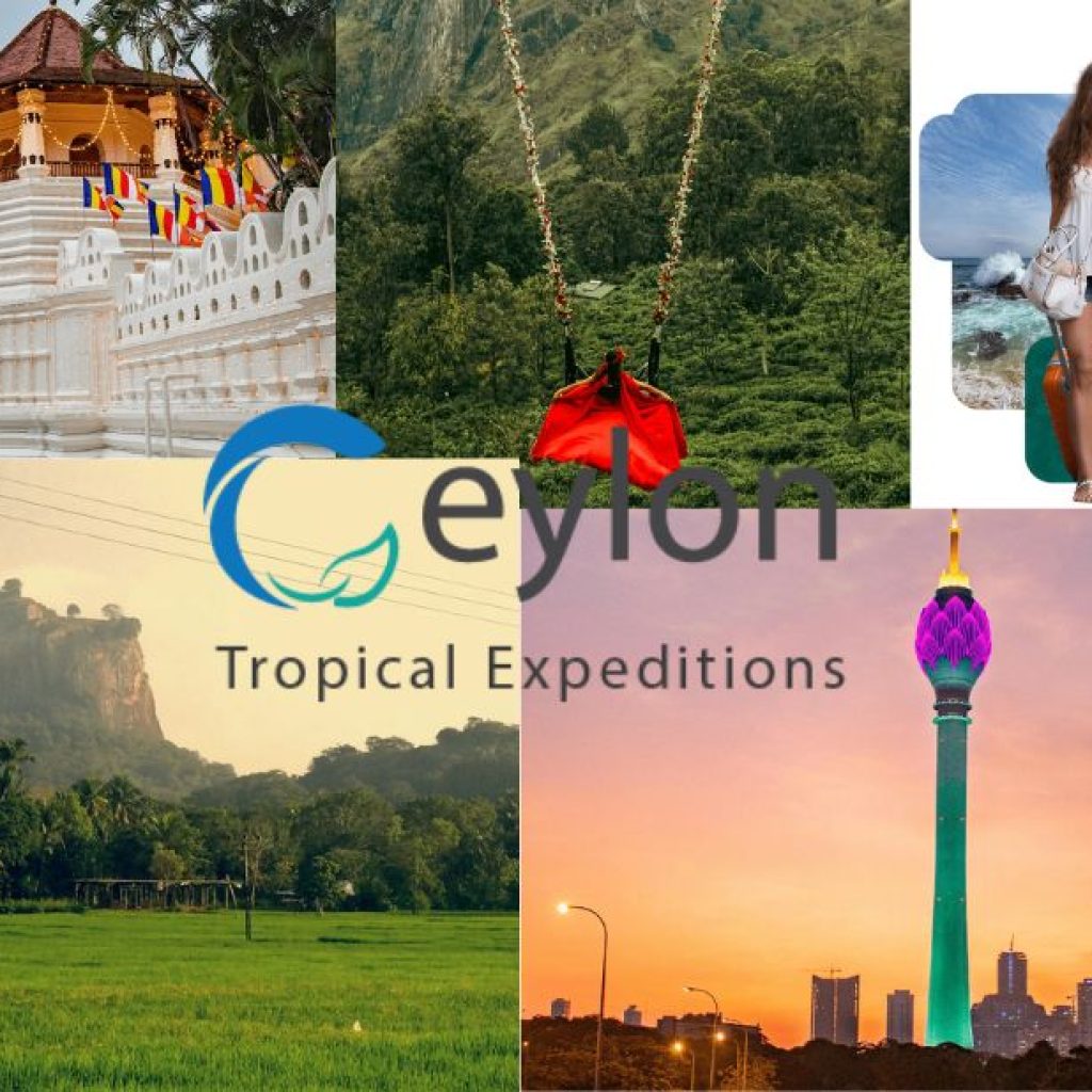 Explore Sri Lanka’s Wild Side: Unforgettable Nature & Safari Journeys