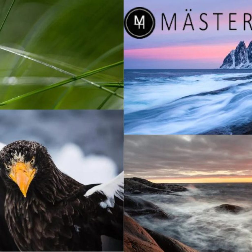 Förvandla dina bilder – inspirerande kurser för fotograferande nybörjare och entusiaster