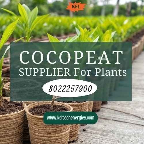 Leading Cocopeat Manufacturer & Plant Media Supplier