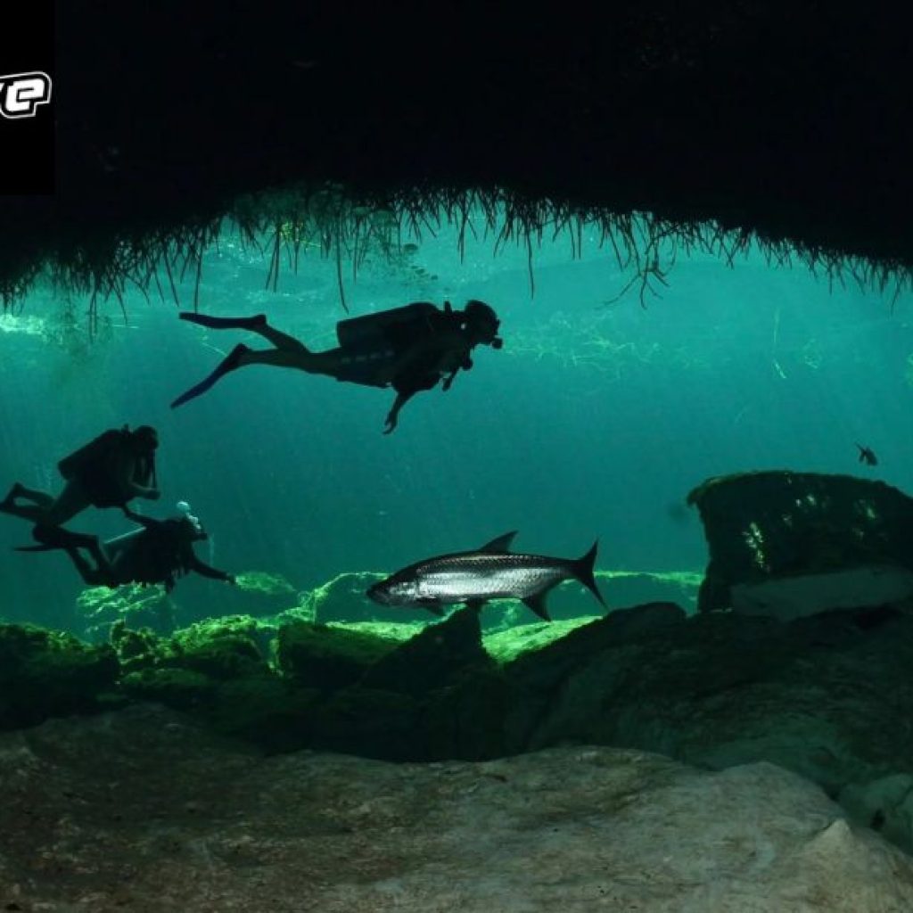 Explore underground realms: cenote diving adventures in Mexico