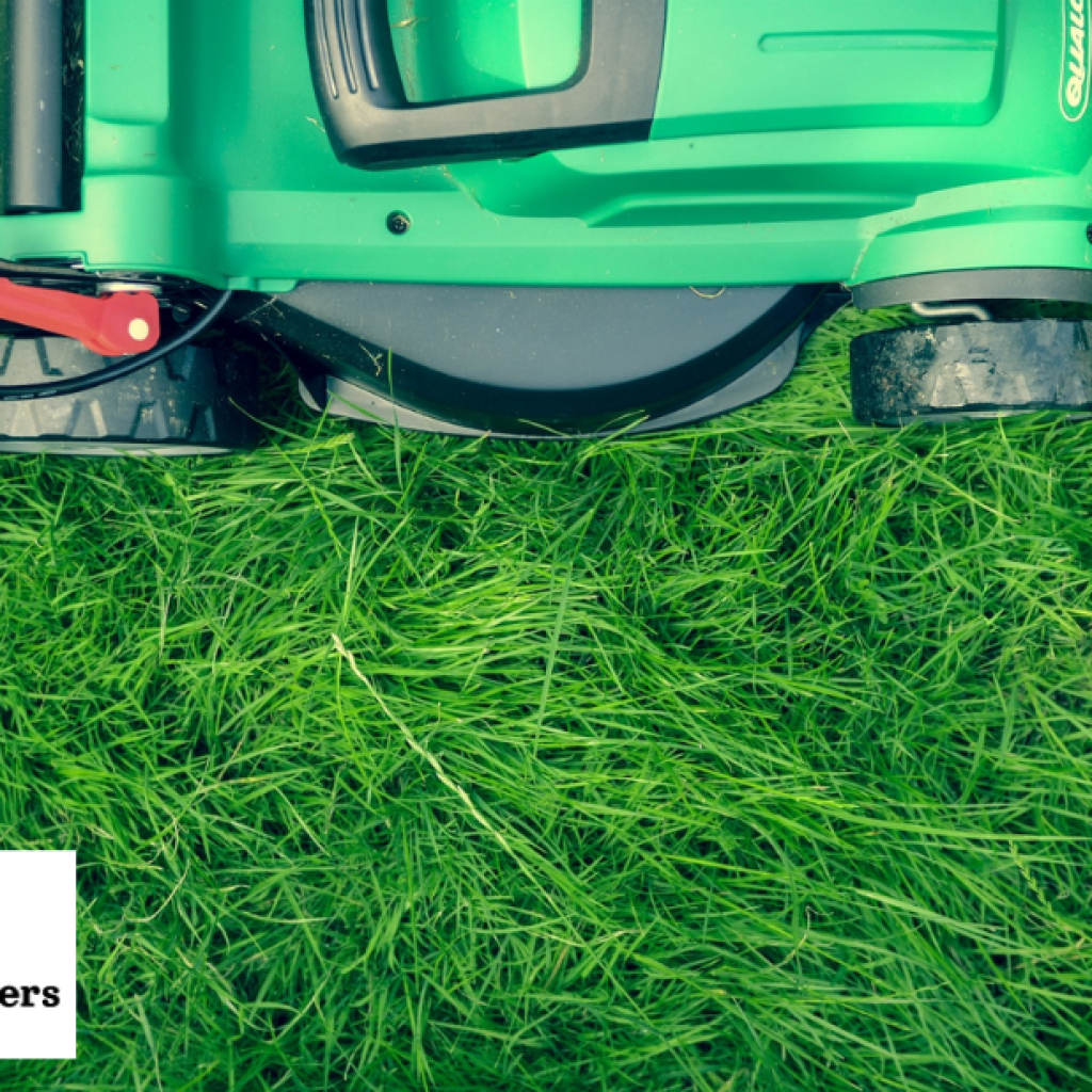 Expert Lawn Shaping Services in Bristol