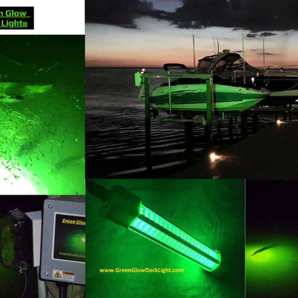Illuminating the Catch: Premium Lights for Night Waterfront Viewing Illuminating the Catch: Premium Lights for Night Waterfront Viewing