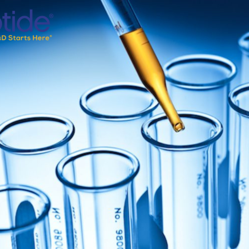 Understanding the Role of Amyloid Peptides in Alzheimer’s Research Understanding the Role of Amyloid Peptides in Alzheimer’s Research