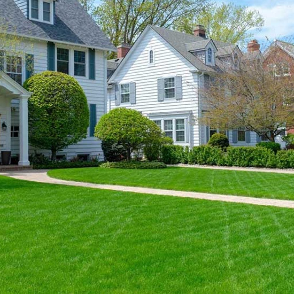 Lush, resilient lawns in San Antonio: practical tips