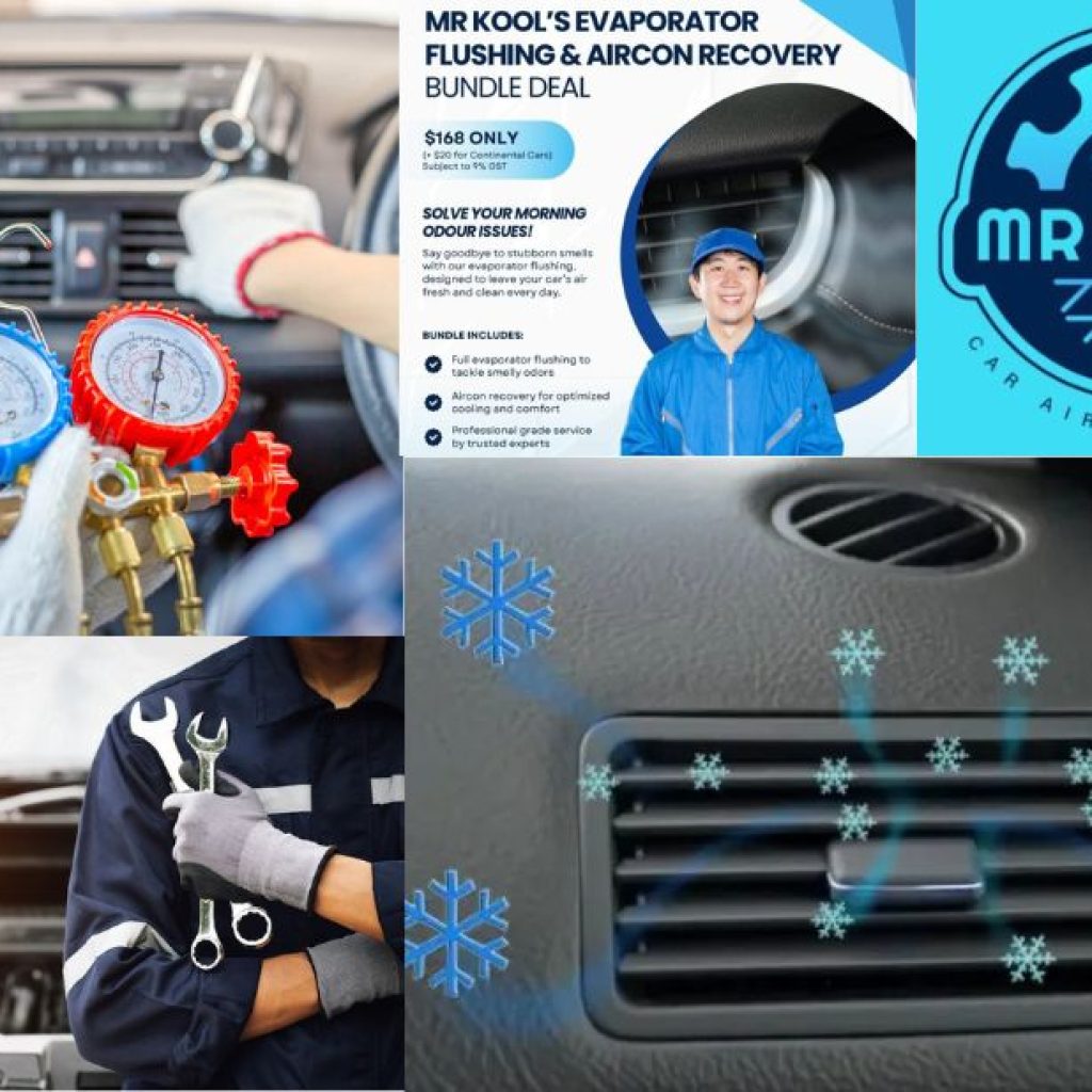 Revive Your Car’s Air Conditioning: Expert Flushing Service Revive Your Car’s Air Conditioning: Expert Flushing Service