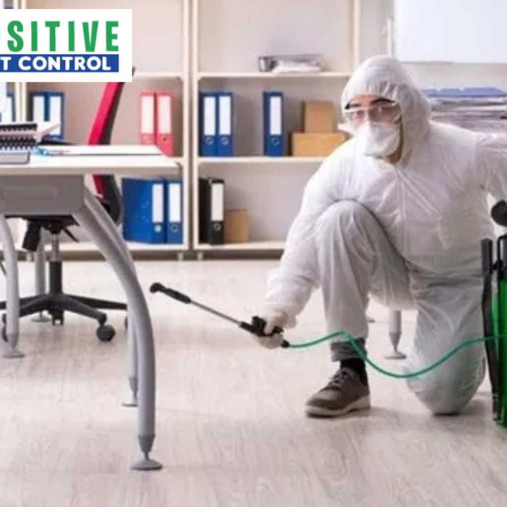 Protect Your Home from Fleas with Expert Pest Solutions Protect Your Home from Fleas with Expert Pest Solutions