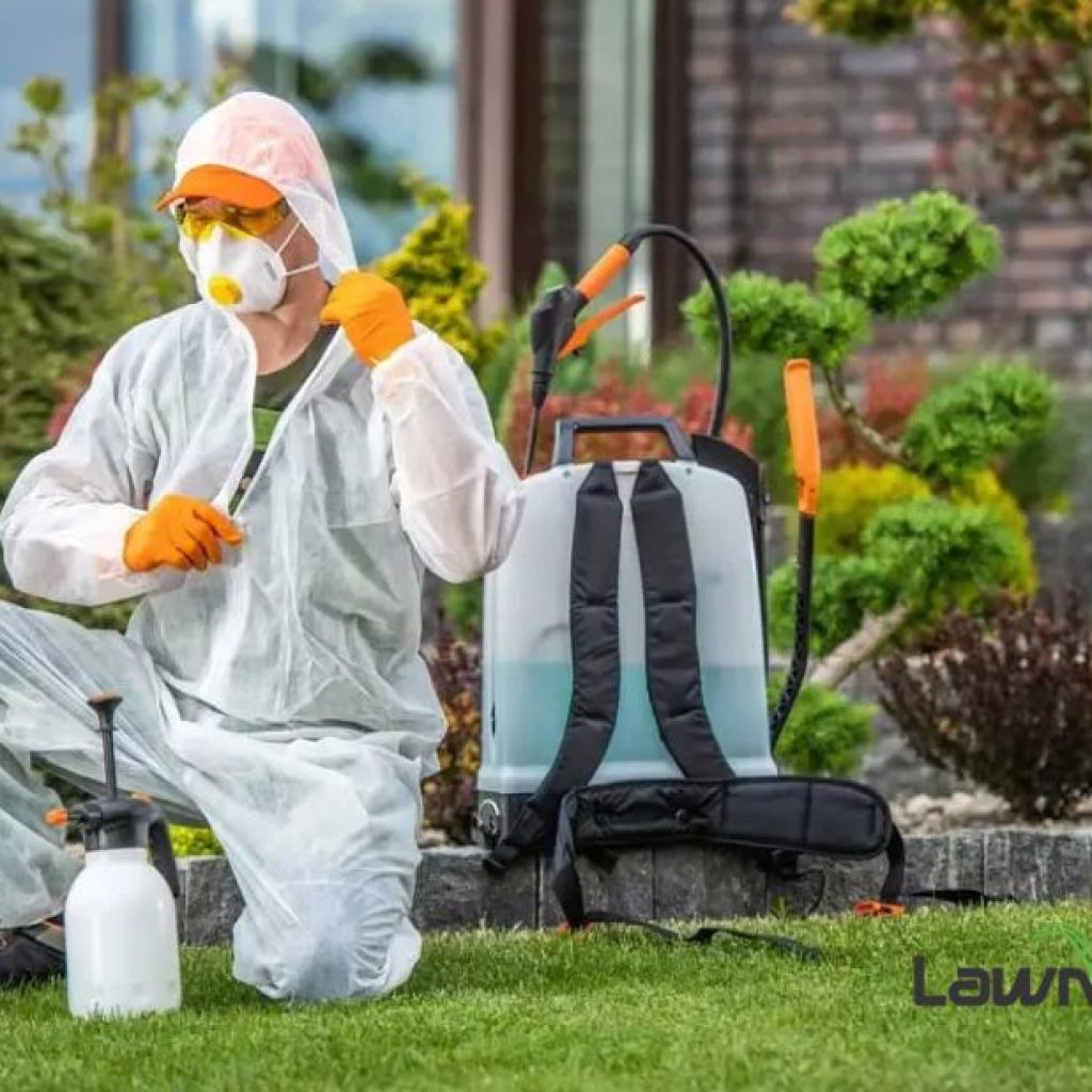 Lawn Maintenance Larchmont: Expert Care for Your Lawn Lawn Maintenance Larchmont: Expert Care for Your Lawn