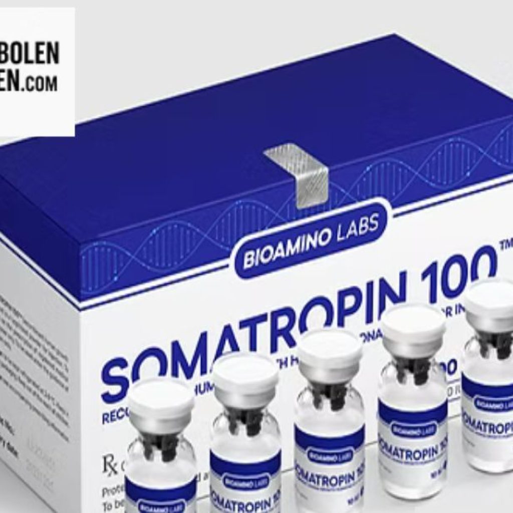 Effectieve spiergroei met veilige supplementen | Koop betrouwbaar