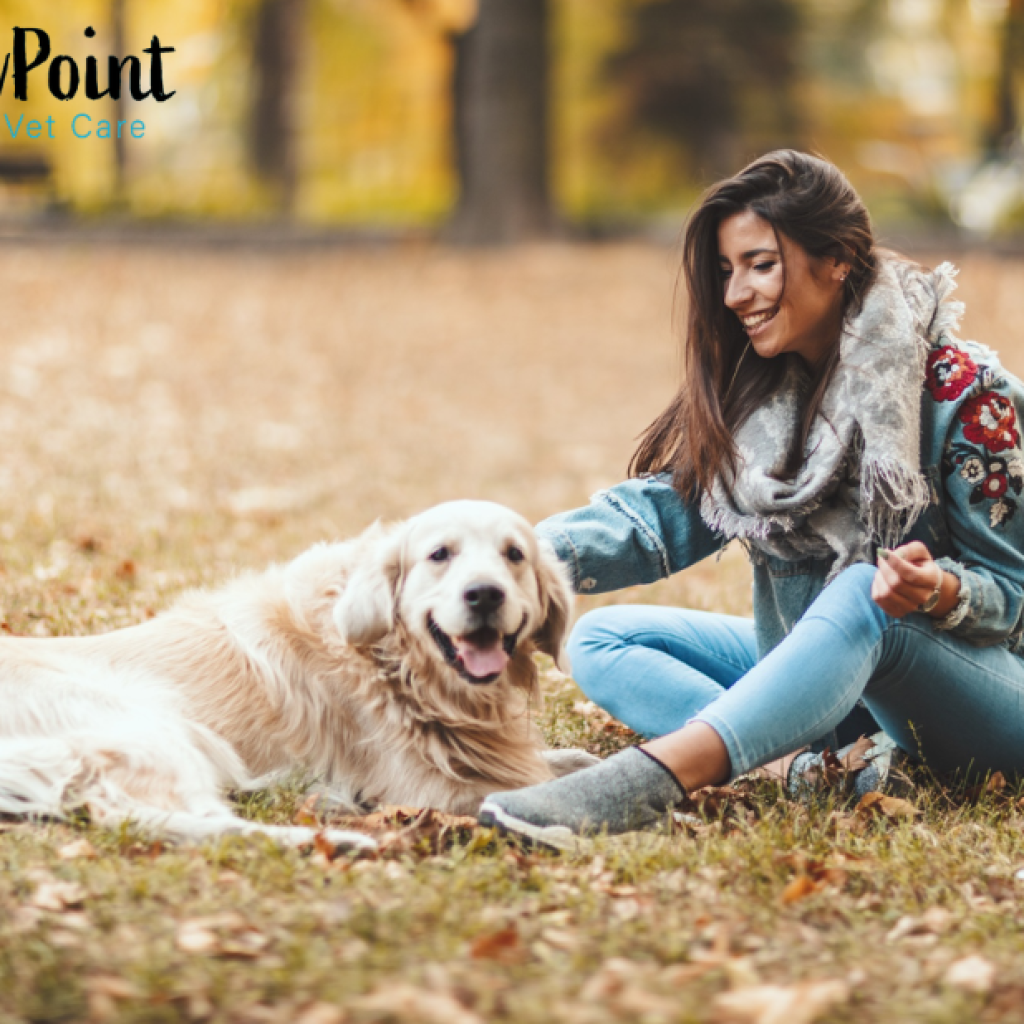 Compassionate end-of-life care for your pet nearby Compassionate end-of-life care for your pet nearby