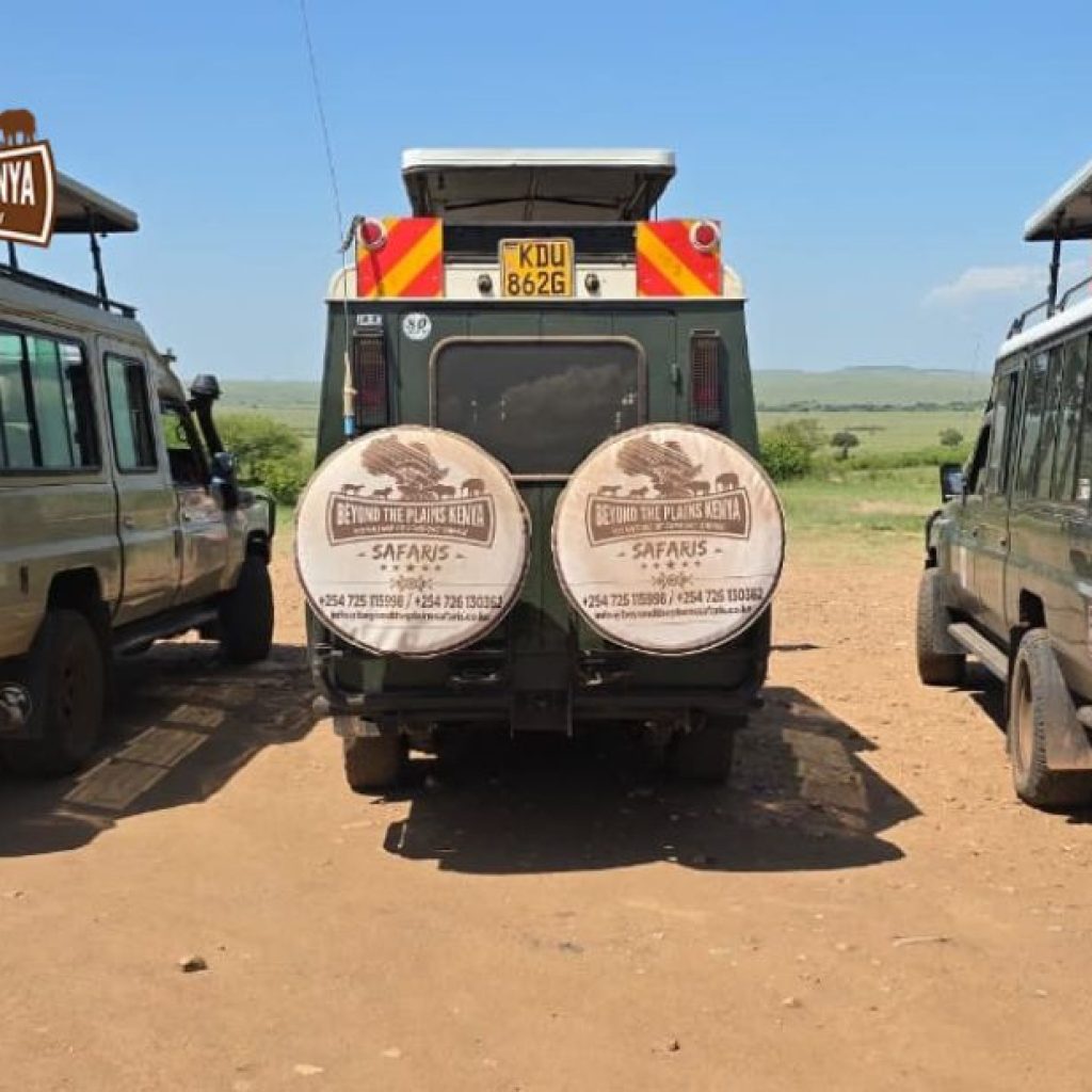 Unearth the Wonders of Tsavo East: A Guided Safari Experience Unearth the Wonders of Tsavo East: A Guided Safari Experience