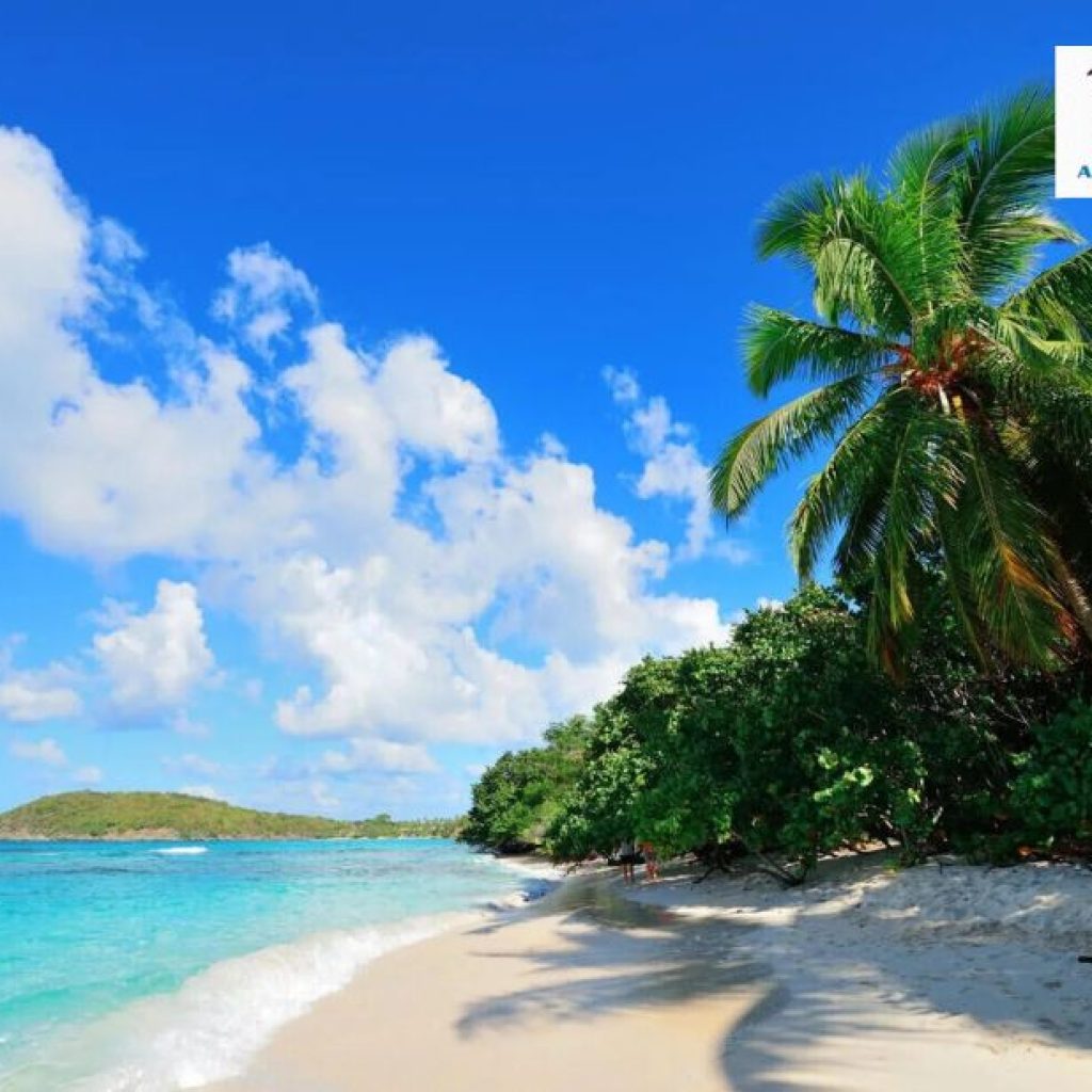 Budget friendly Car Rentals in Hawaii: Smart, Local Choices Budget friendly Car Rentals in Hawaii: Smart, Local Choices