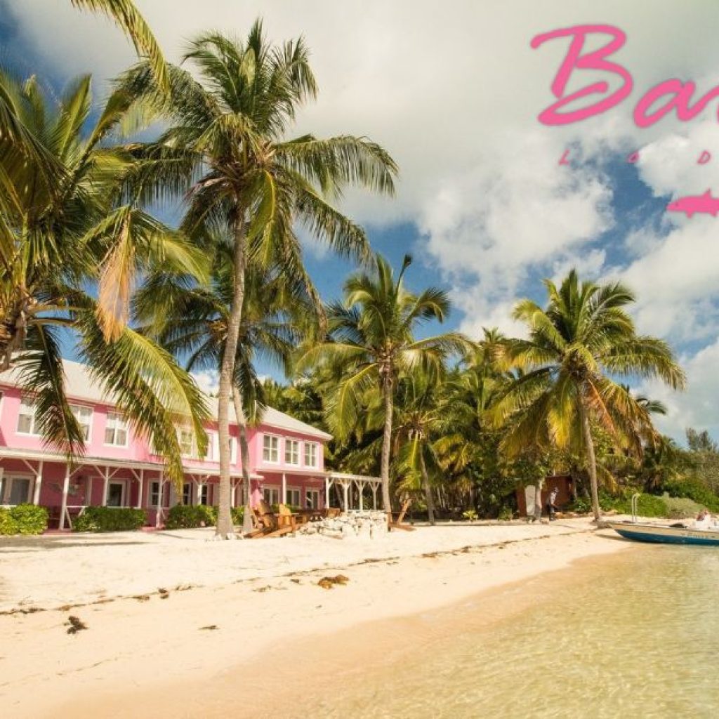 Top Bahamas Bonefishing: Hidden Flats, Big catches and expert guides Top Bahamas Bonefishing: Hidden Flats, Big catches and expert guides