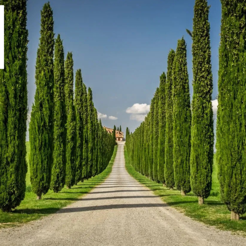 Luxurious Tuscan Villas near Lucca for your next getaway