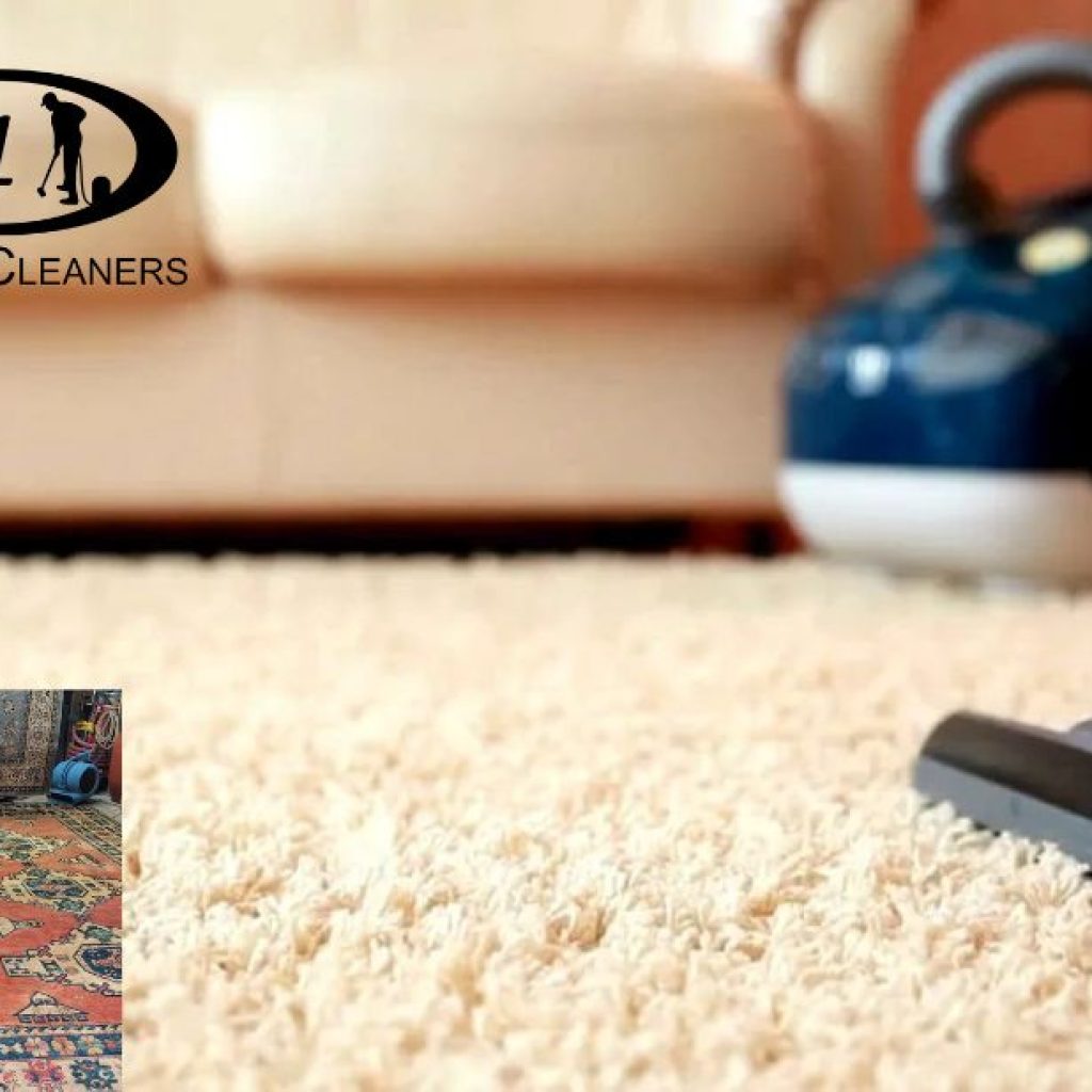Top Carpet Cleaning Tips and Solutions for a Fresh Home