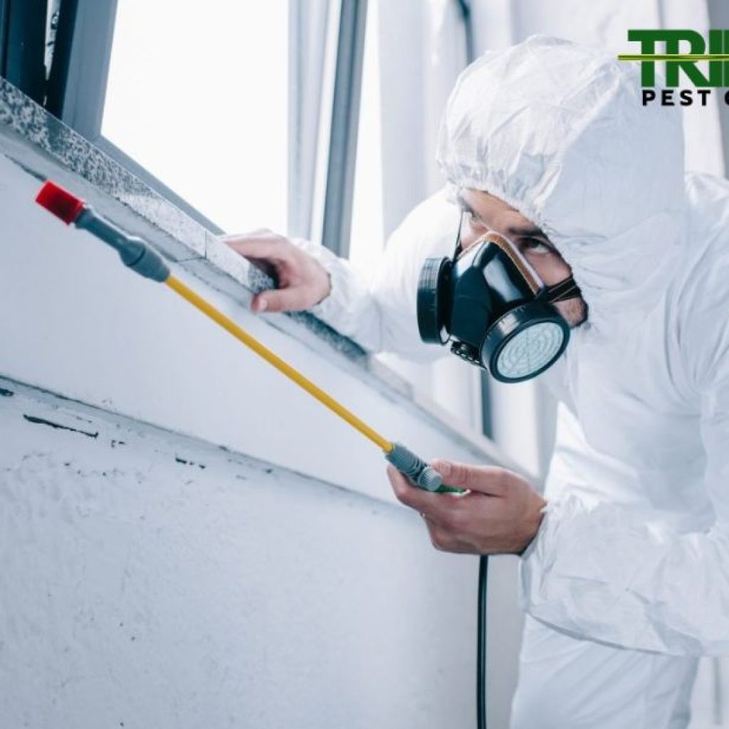 Professional Exit Cleaning and Pest Care for Your Rental Property Professional Exit Cleaning and Pest Care for Your Rental Property