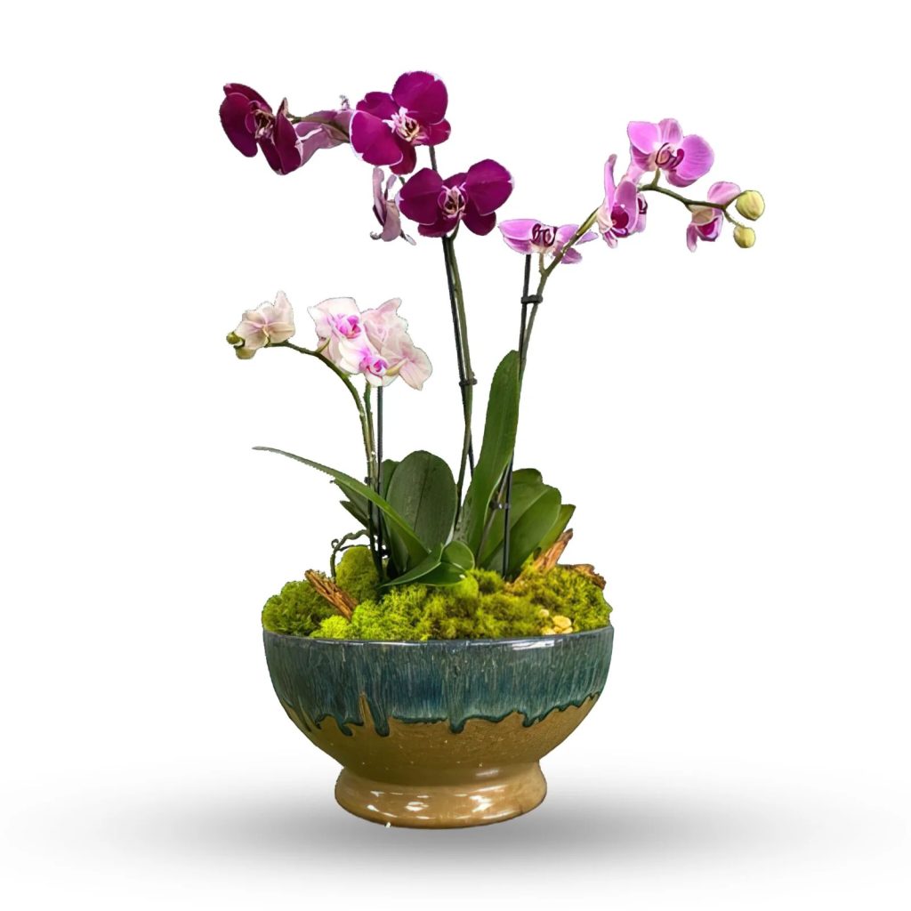 Marietta’s Premier Floral Studio — Handcrafted Bouquets & Local Delivery Marietta’s Premier Floral Studio — Handcrafted Bouquets & Local Delivery