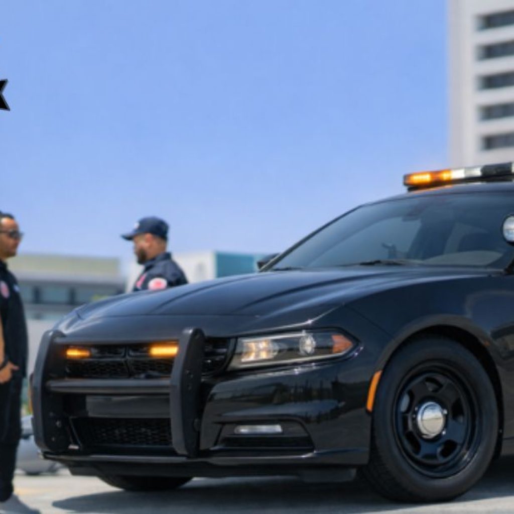 Top Private Security Teams in Greater Los Angeles for Your Protection Top Private Security Teams in Greater Los Angeles for Your Protection