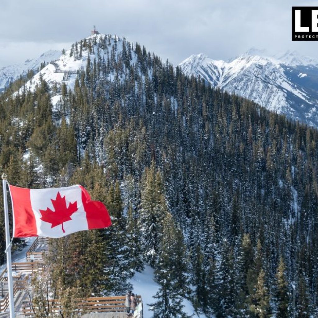 Expert Provincial Nominee Program Guidance for Canadian Immigration