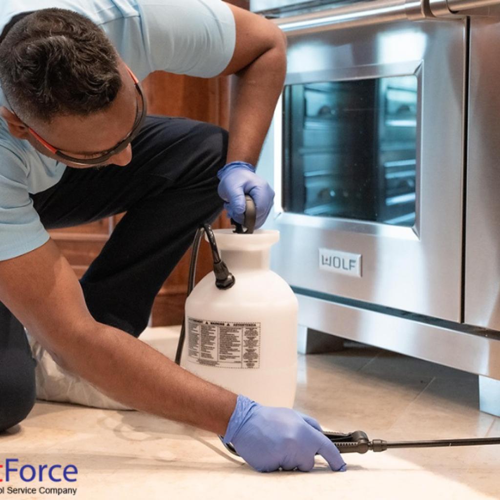 Protect Your Home: Effective Termite Solutions for Calgary Protect Your Home: Effective Termite Solutions for Calgary