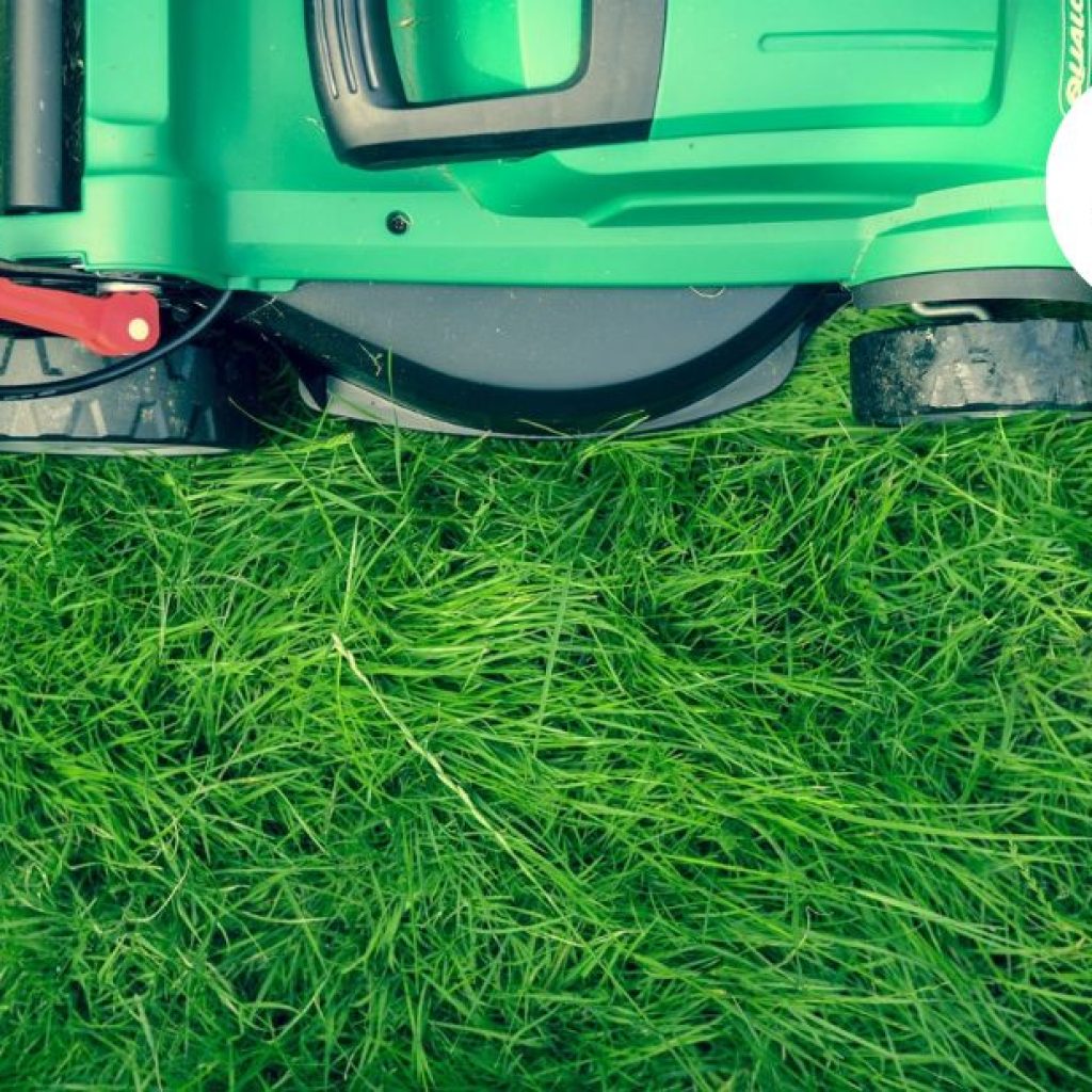 Tidy, weed-free gardens: expert removal and maintenance in Bristol