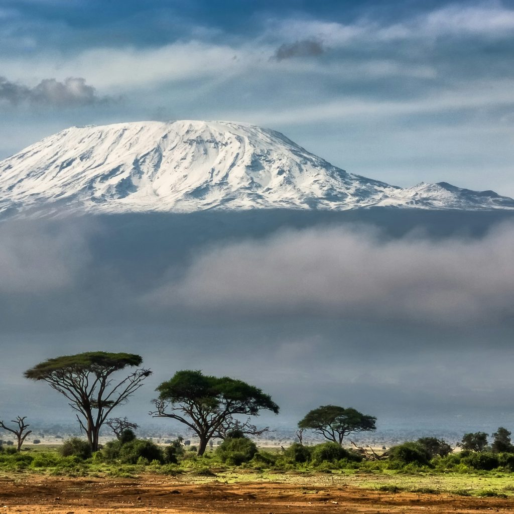 Navigating the Shira Route: Essential Tips for Climbers Navigating the Shira Route: Essential Tips for Climbers
