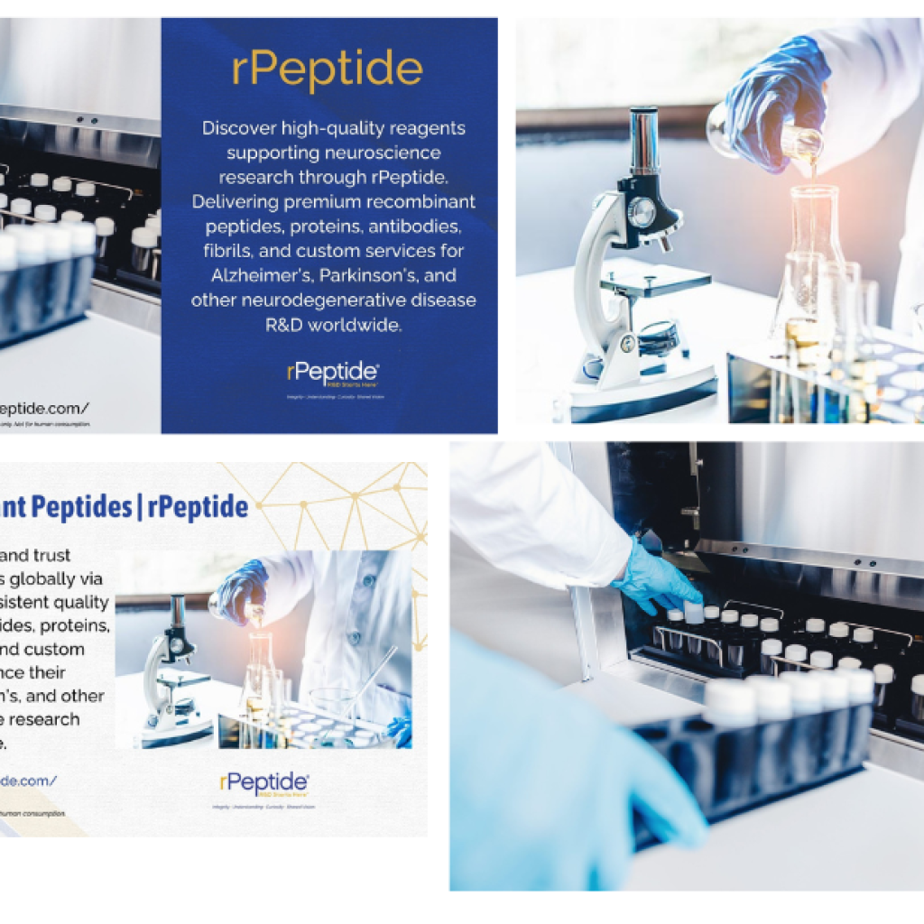 Unraveling Neurodegeneration: Targeted Peptide Studies for Alzheimer’s Research