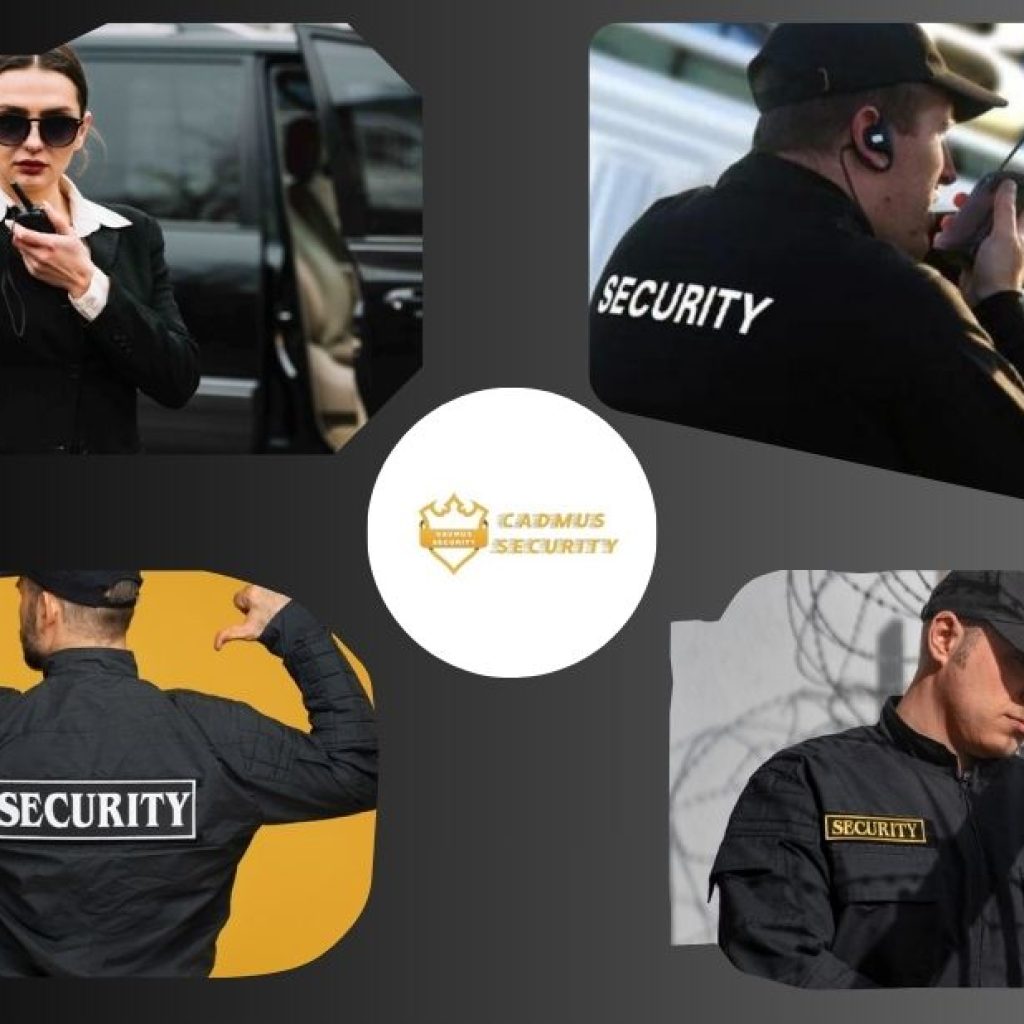 Reliable Winnipeg Security Guards for Homes and Businesses