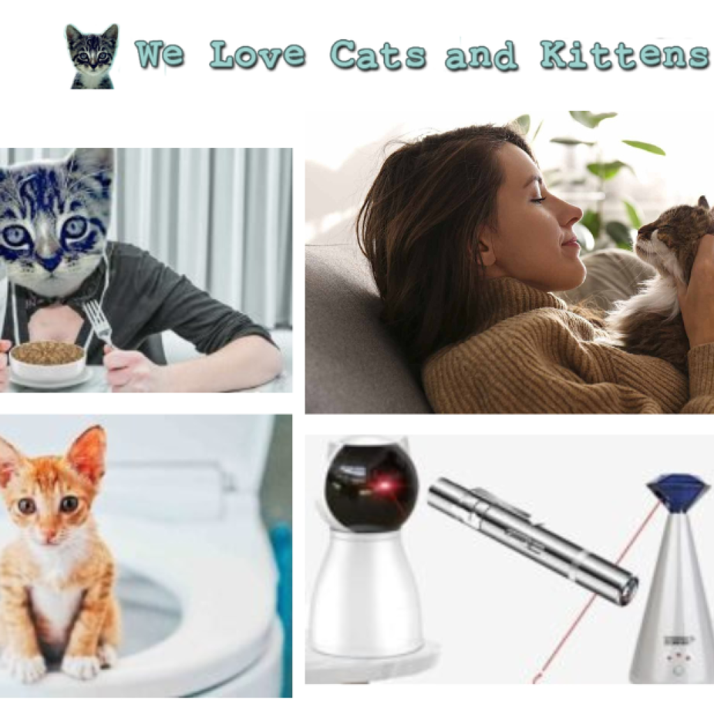 Is Honey Safe for Cats? What You Need to Know